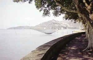 Fishing nets and boats on coastline