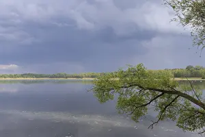 Fishing pond in Lusatia, Saxony, Germany