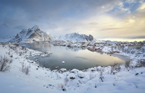 Category Mountain Landscapes Prints: Fishing village Reine in winter at dawn