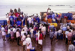 Fishing yard at Thalassery Tellicherry
