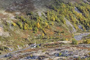 Fjell landscape in autumn, Rondane National Park