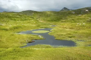 Category Scandinavia Prints: Fjell landscape Vestvagoya Lofoten Norway