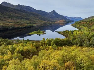 Fjord, coast, mountain landscape