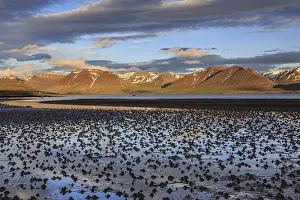 Fjord, low tide, stones, mountains