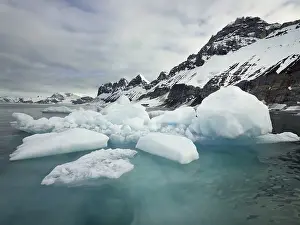 Category Scandinavia Prints: Fjord with pack ice, Spitsbergen Island