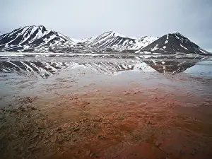 Category Scandinavia Prints: Fjord with red algae, Krossfjorden