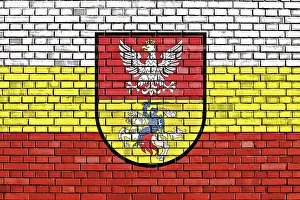 Flag of Bialystok painted on brick wall