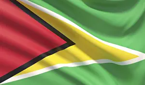 Flag of Guyana. Waved highly detailed fabric texture