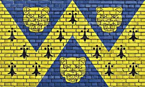 Flag of Shropshire painted on brick wall