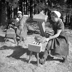 Flax production, ca. 1945 to 1955