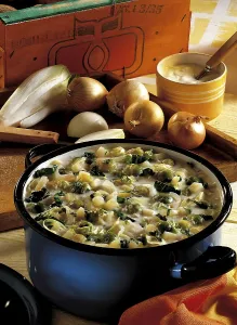 Flemish cabbage stew, vegetarian, Belgium, Europe
