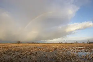 Flooded meadows with rainbow, Wuemmewiesen nature reserve