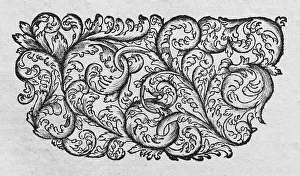 Floral Pattern, copperplate engraving from Museum Museorum