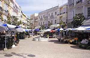 Florists at the street market selling flowers and plants in the city centre of Cadiz, Spain, Europe