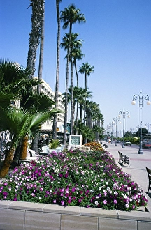 Flower beds along the beach promenade in Larnaca, Cyprus, 1998, Europe