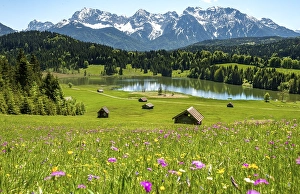 Flower meadow with hay barn at Geroldsee