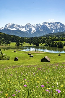 Category Mountain Landscapes Prints: Flower meadow with hay barn at Geroldsee