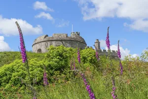 Flower meadow leads to a stone castle under a blue sky