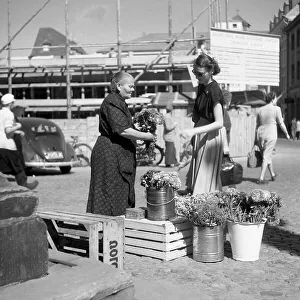 Flower seller, Freiburger Muenstermarkt