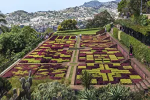 Flowerbeds and plants laid out as samples