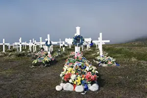 Flowers on grave, Cemetery, Kangerluk, Greenland