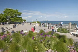 Flowers, pier forecourt, pier, Kuhlunsborn Ost