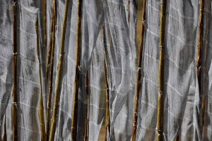 Fluttering prayer flags, Yotongla Pass
