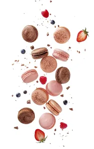Fly french macarons