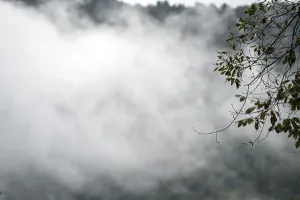 Framed Print : Fog over the forest in the mountains