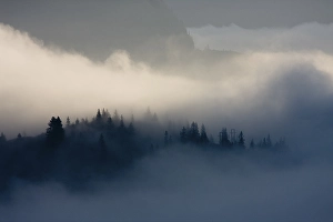 Fog in the Goeschener Valley, Canton of Uri