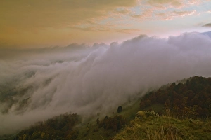 Fog on Mt. Belchen in the Black Forest