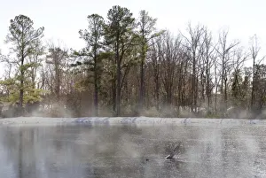 The fog on a snowy lake in the early morning