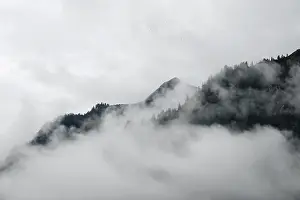 Foggy atmosphere in the foothills of the Alps