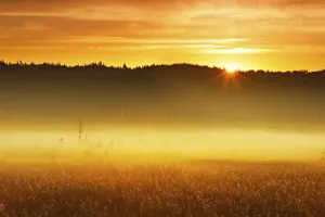 Foggy moor at sunrise, Great Serrahn Moor