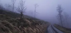 A foggy path leads through a bare landscape