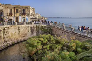 Fonte Aretusa spring with papyrus plants in front of the old town