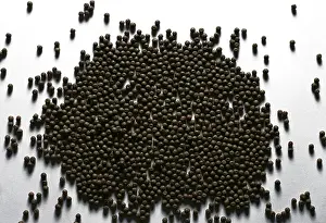 Food, Dried Black Peas pisum sativum
