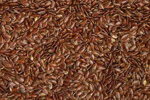 Food, Flaxseed Culinary background