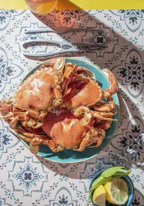 Food, Food, Cooked crab on blue plate