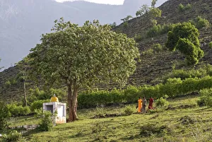 Foot of the Vibuthi hill in bokkapuram near Masinagudi in Nilgiris