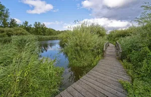 Footpath and bridge on the River Trave in Brenner Moor