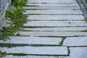 Footpath with flagstones in the Chemnitz district of KaBberg