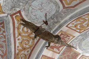 Forchtenstein Castle, stuffed crocodile