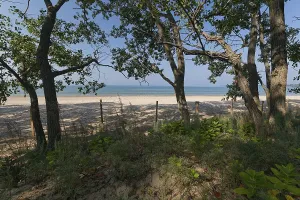 Forest and beach at Sandbanks Provincial Park