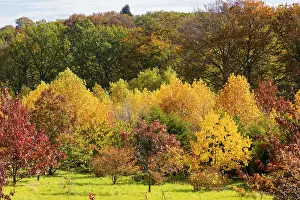 The Forest Botanical Garden Tharandt is an institution of the Technical University of Dresden