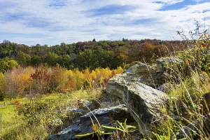 The Forest Botanical Garden Tharandt is an institution of the Technical University of Dresden