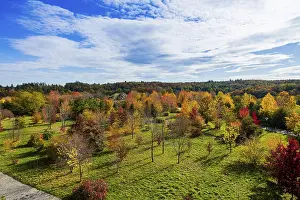 The Forest Botanical Garden Tharandt is an institution of the Technical University of Dresden