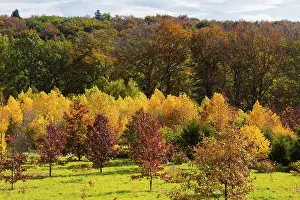 The Forest Botanical Garden Tharandt is an institution of the Technical University of Dresden