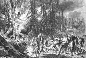 Forest Fire, Fire of a Fir Forest near St