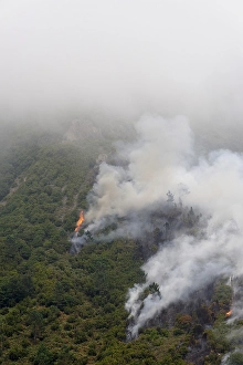 Forest fire in Parque Natural de Madeira